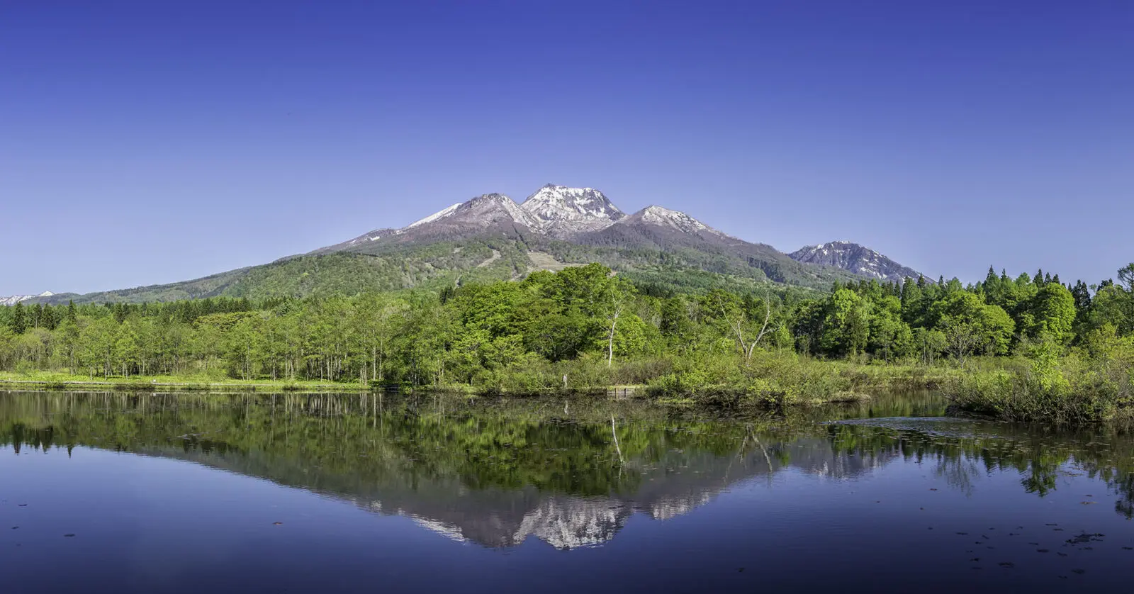 信越五山　妙高戸隠連山国立公園　大型山岳模型　　透明ケース無しタイプ 妙高戸隠連山国立公園信越五高原コース(妙高エリア)【片道コース